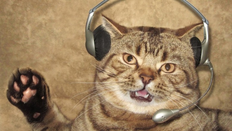 ROFL Cats: The Ultimate Collection of Hilarious and Viral Feline Videos!