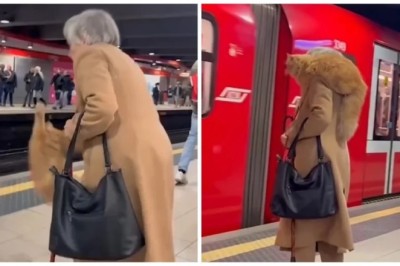 Unbelievable! Grandma Masters the Art of Shoulder Cat Carrying