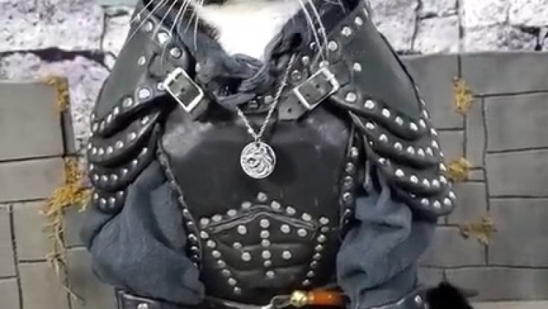 Pawsitively Adorable: Cat Goes Couture in Traditional Costume!