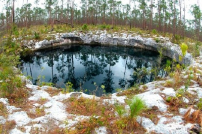 The Secrets of Sawmill Sink: A Blue Hole Holding Ancient Fossils and the Past of Abaco