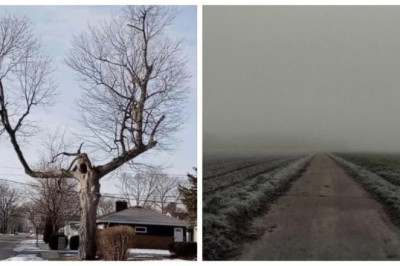 15 Terrifying Images That Will Leave You Questioning Everything!