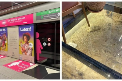 You Won’t Believe These 17 Mind-Blowing Finds from Around the World!