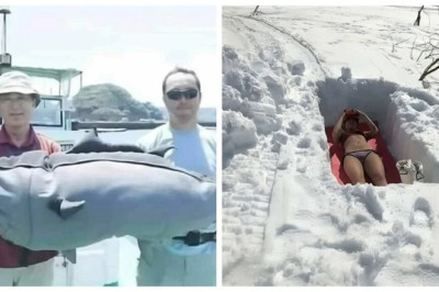 17 Hilarious Images That Prove Humans Are the Strangest Species on Earth