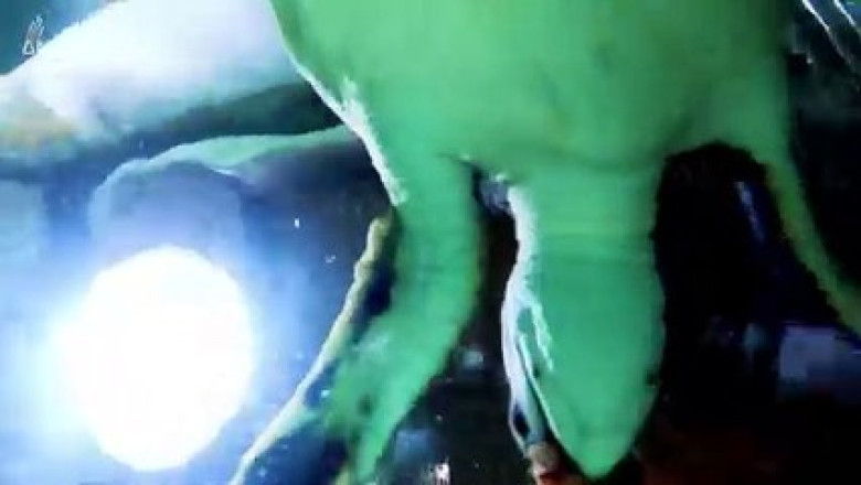 Incredible Drone Footage: Sea Turtle Laying Eggs!