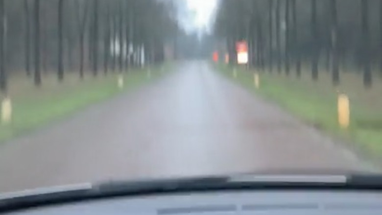 "Invisible Speed Bumps: See How They Catch Drivers Off Guard!