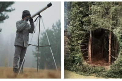 The Strange Discovery: Johnny Bush's Terrifying Encounter with the Mysterious Forest Gate