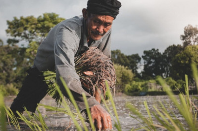 Back to Our Roots: Rediscovering Life Beyond Disconnect