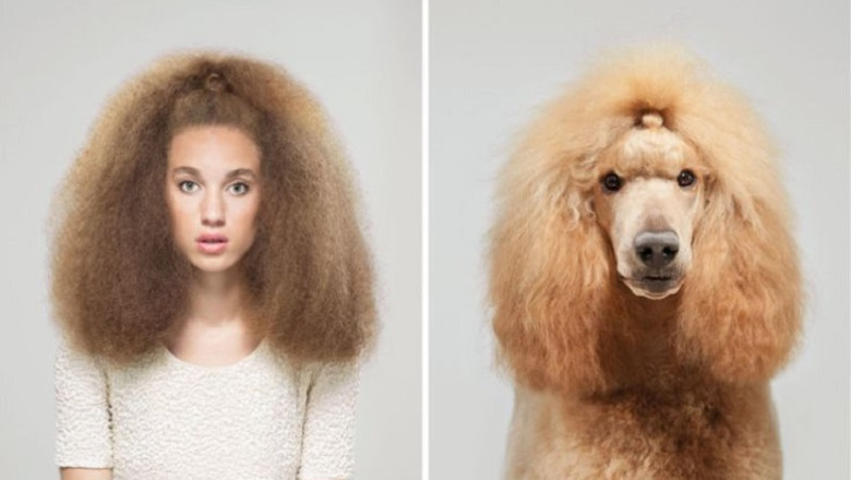 Doppelgängers: The Hilarious Photos Revealing the Striking Resemblance Between Dogs and Their Owners!