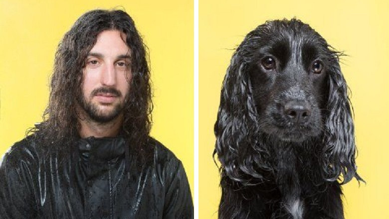 Furry Reflections: The Unforgettable Bond Between Dogs and Their Owners