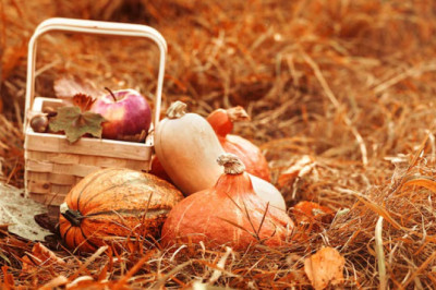 Indulge in the Flavor Explosion of Sunset Harvest Medley
