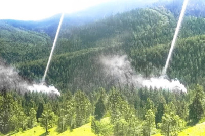 From Crisis to Revival: The Inspiring Journey of a Community Restoring Its Forests