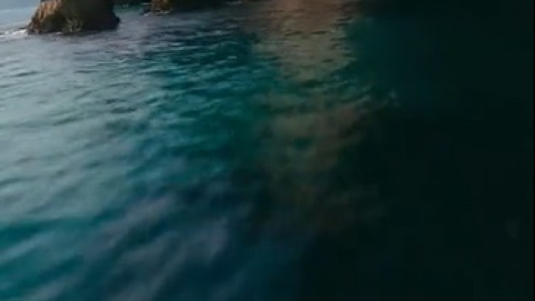 The Timeless Beauty of Nature: A Visual Journey