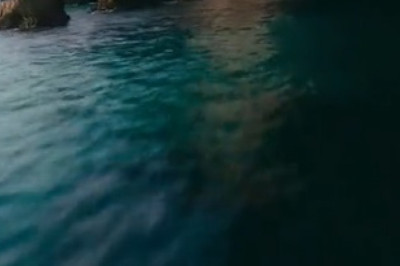The Timeless Beauty of Nature: A Visual Journey