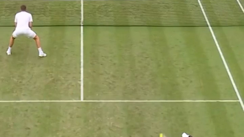 He Took the Hit—But Thank Goodness It Wasn’t from the Williams Sisters